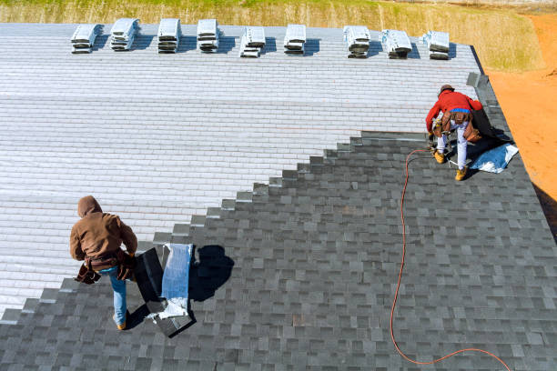 Best Storm Damage Roof Repair  in Pine Grove, PA